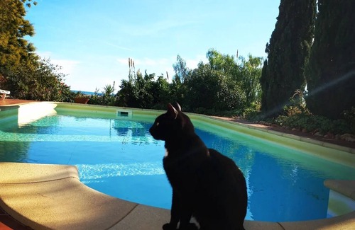 Olhao Villa | Charming villa with panoramic sea views