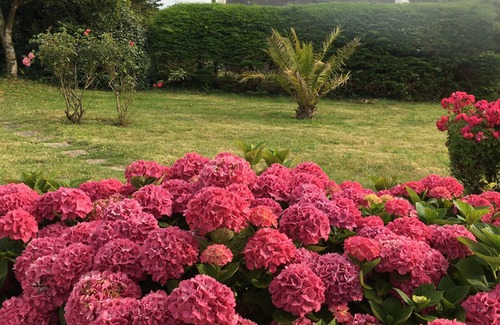 Sauzon House | Charming Village Home Near Sauzon, 400m from Sea, Quiet, Cozy Garden