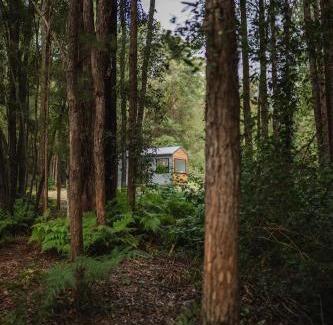Peachester Villa | 'Chartreuse' Tiny Home on Green Valley Fingerlime Farm