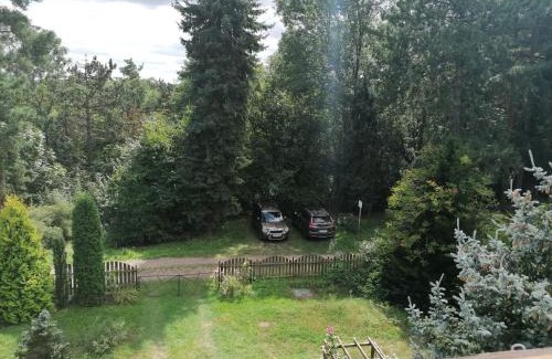 Tynec nad Labem House | Chata se zahradou