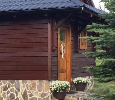 Liptovsky Mikulas Resort | Chatka Tatralandia 114