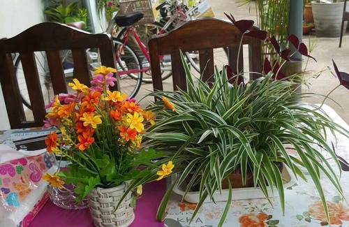 Pa Daet Bed & Breakfast | Chatters area Room, 1 stop travel service