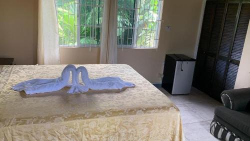 IronShore Estates Hotel | Chaudhry Second Floor Single Suite