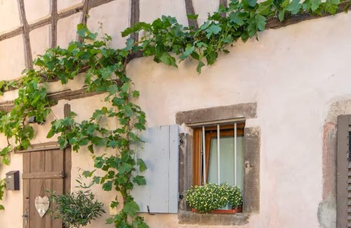 Boersch House | Chez Nony, 90m2 house on the Route des Vins