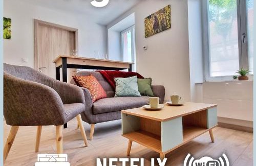 Guebwiller Apartment | Chez Patisa - Business and Tourism - RBNB