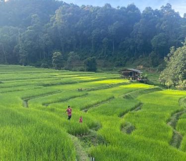 Samoeng House | Chibacall ชิบะคอล Chiang Mai hideaway Homestay