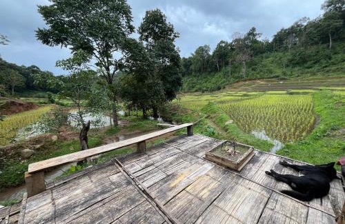 Samoeng House | Chibacall ชิบะคอล Chiang Mai hideaway Homestay