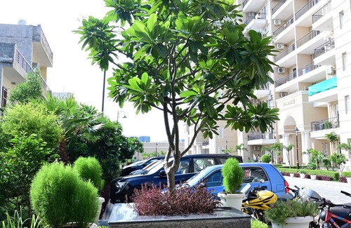 Chandigarh House | Chic 3-bedroom apartment with WiFi, AC in superb location near to Mohali Airport