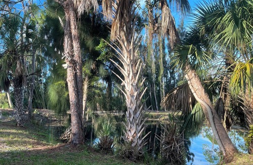 Punta Gorda Cottage | Chill Cottage in charming Punta Gorda