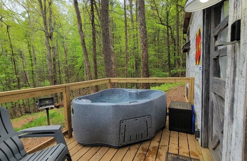 Suches Cottage | Chipmunk Chalet Tinyhome, nestled in the Chattahoochee National Forest w/hot tub