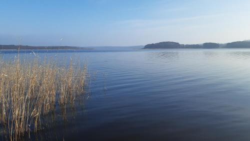 Benz Apartment | Christianshof Insel Usedom