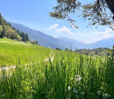 Vervo Apartment | Ciasa Erica - Val di Non