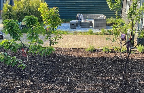 Shephall House | Cinema Barn