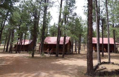 Alpine Cabin | Circle Pine Ranch-"The Real Log Cabin Experience"