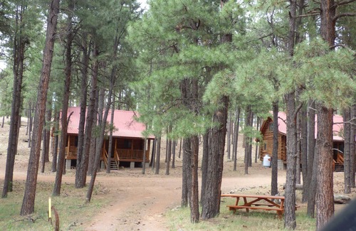 Alpine Cabin | Circle Pine Ranch-"The Real Log Cabin Experience"