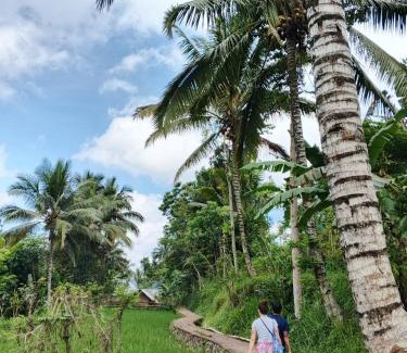 Tetebatu House | Citra Homestay