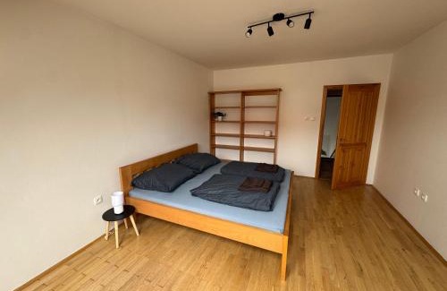 Tabor Apartment | City Apartment Budějovická