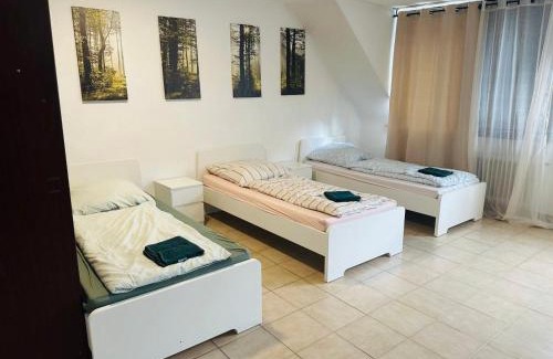 Altstadt Apartment | City Apartment Family & group