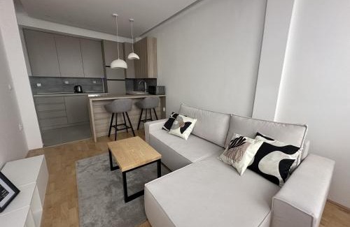 Zrenjanin Apartment | City Center Apartment