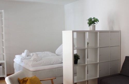 Innsbruck City Centre Apartment | City Center Golden Roof 5