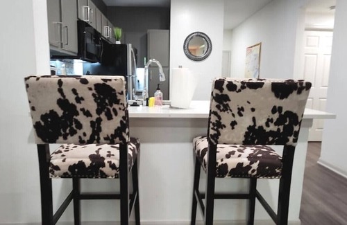 Travis Heights Condo | City Retreat! Spacious, Fun, and Amazing Location