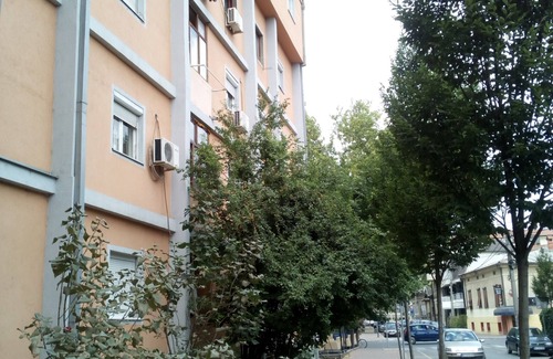 City Center Apartment | CityCenter Flat across The Fortress