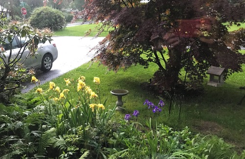Boalsburg House | Clean & Calm Home, Close to Penn State's Campus