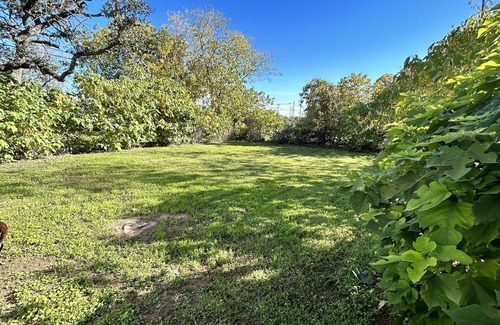 Cedar Park House | Clean & comfy 2 bedroom in center of Cedar Park with a private backyard