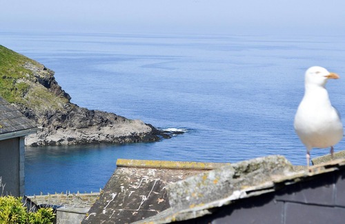 Port Isaac Cottage | Cliff and sea views from this family cottage, only 200 yards from the harbour.
