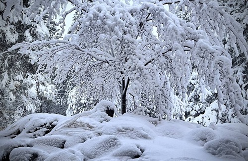 Bend Condo | CLOUD CHASER CONDO @ 7th Mountain Resort