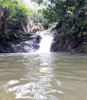 El Copey Hotel | Cabañas Pork Light