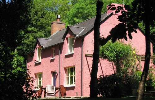 Stackpole Cottage | COASTAL 'chocolate box' hideaway in National Trust woodland - Visit Wales rated.
