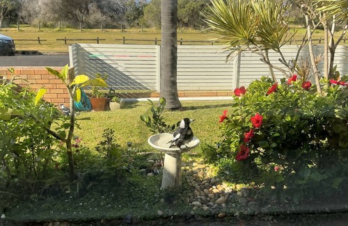 Lake Illawarra Apartment | Coastal Comfort situated opposite Warilla Beach with very short walk to the sand and waves