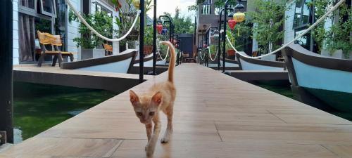 Dien Duong Hotel | Coco Bungalows Hoi An