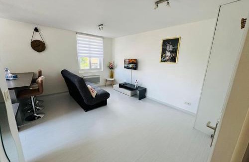 Thonon-les-Bains Apartment | Cocon 50 m2, terrasse 40 m2
