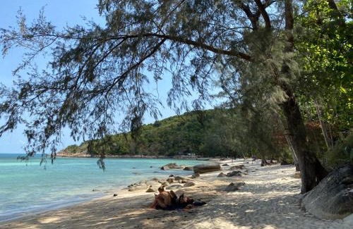 Ko Pha-ngan House | Coconut Beach Bungalows