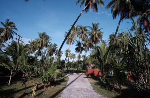 Khlong Wan House | Coconut Tree Homestay