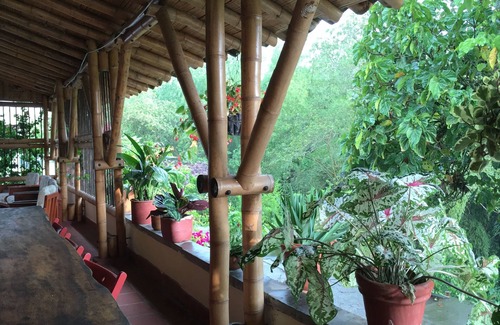 Montenegro Other | Coffee Farm