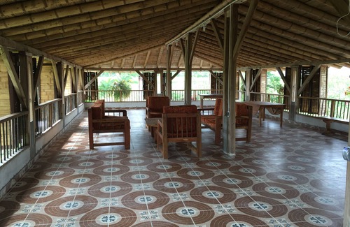 Montenegro Other | Coffee Farm