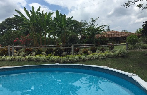 Montenegro Other | Coffee Farm