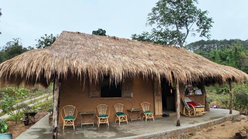 Kon Plong Other | COI NGUON FARM GLAM Mang Den