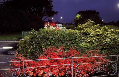 Invercargill City Centre House | Comfort at Stag Lodge Just Mins Walk to Queens Park & Down Town Invercargill