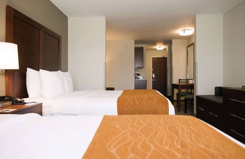 Custer Hotel | Comfort Inn And Suites Custer