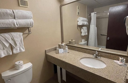 Waycroft - Woodlawn Hotel | Comfort Inn Ballston
