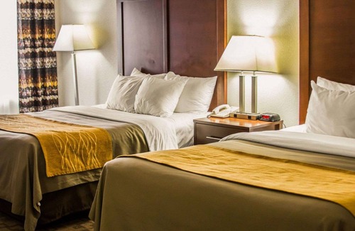 Birch Run Hotel | Comfort Inn Birch Run - Frankenmuth