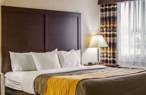 Birch Run Hotel | Comfort Inn Birch Run - Frankenmuth