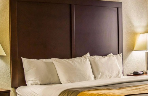 Birch Run Hotel | Comfort Inn Birch Run - Frankenmuth