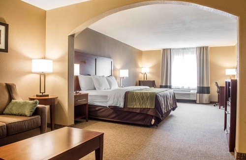 Edinburg Hotel | Comfort Inn Edinburg South