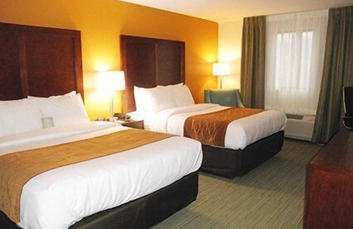 Ferdinand Hotel | Comfort Inn Ferdinand