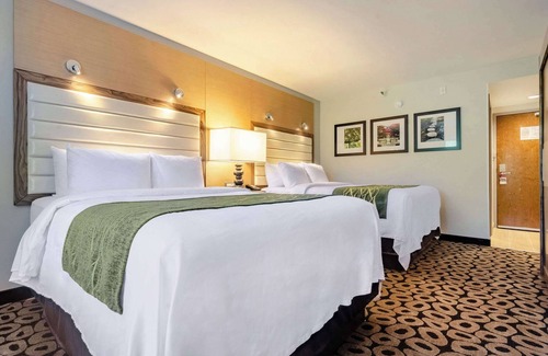 Raleigh Hotel | Comfort Inn Raleigh Midtown
